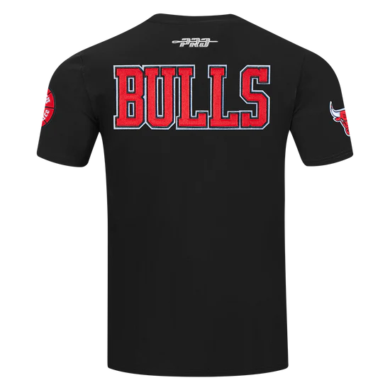 Pro Standard - NBA CHICAGO BULLS CITY RANSOM MEN'S SINGLE JERSEY TEE